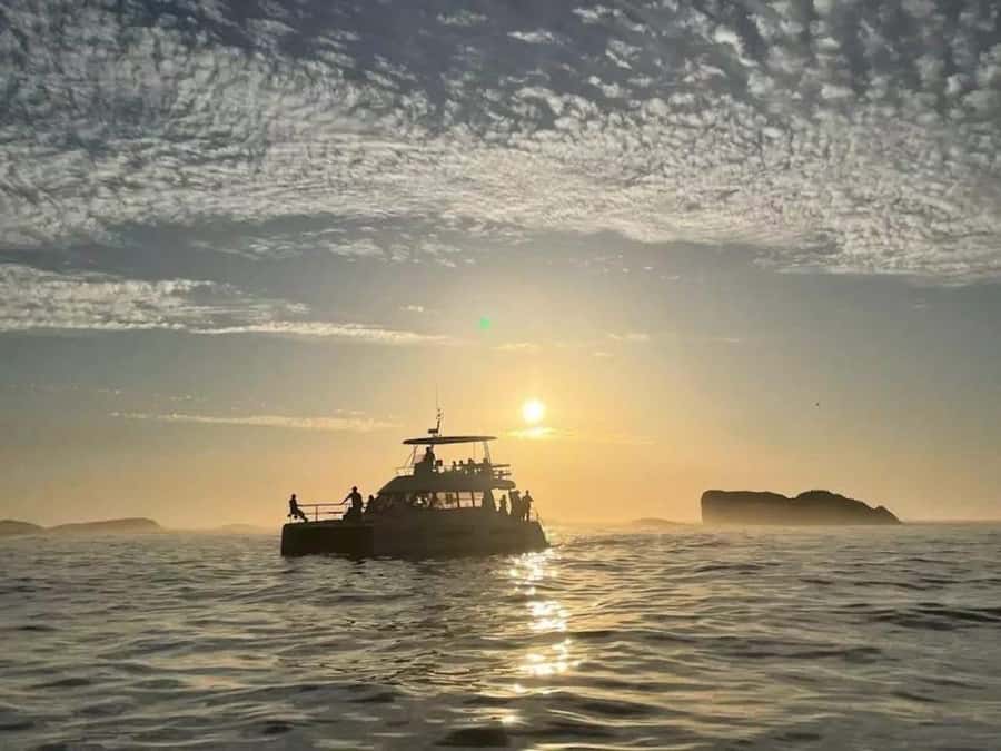 Cape Town: Sunset Champagne Cruise - A Cape Town Sunset You Can Actually Time