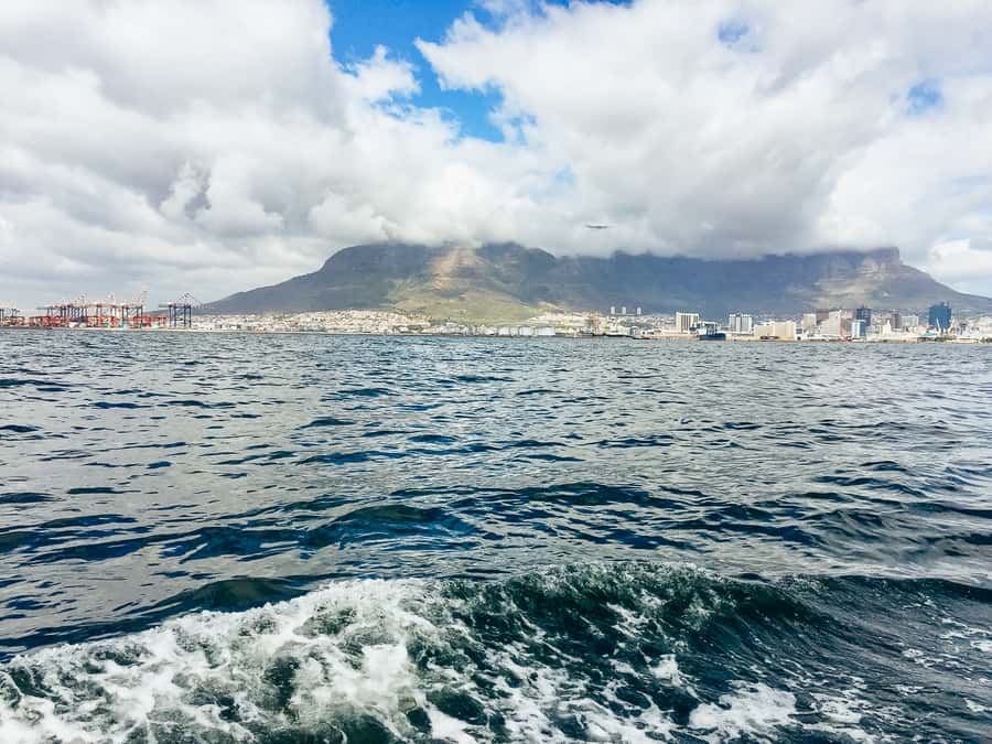 Cape Town: Sunset Champagne Cruise - Sunset Views That Actually Matter: What You See