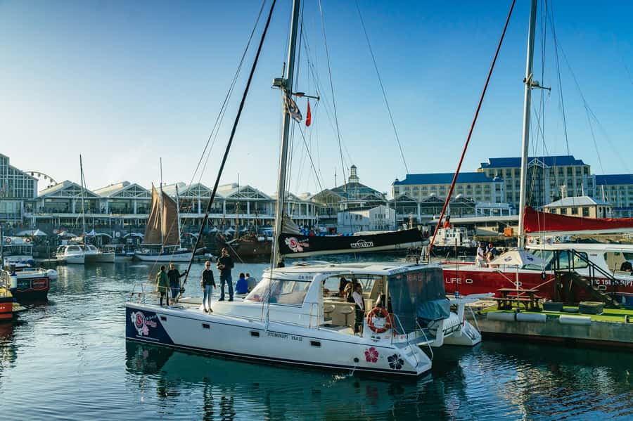 Cape Town: Sunset Champagne Cruise and 3-Course Dinner - Should You Book This Sunset Champagne Cruise and Dinner?