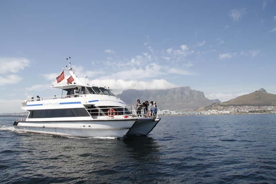 Cape Town: Sunset Champagne Cruise and 3-Course Dinner - When Weather Changes the Plan: Harbour Lights Instead of Table Bay