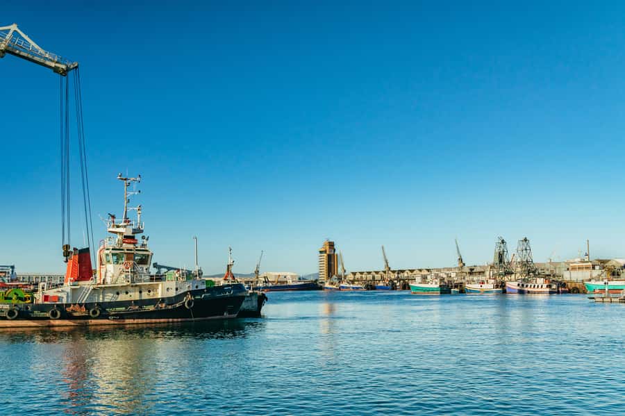 Cape Town: Sunset Champagne Cruise and 3-Course Dinner - Dinner Ashore: City Grill Waterfront Views or Raj North Indian Set Menu