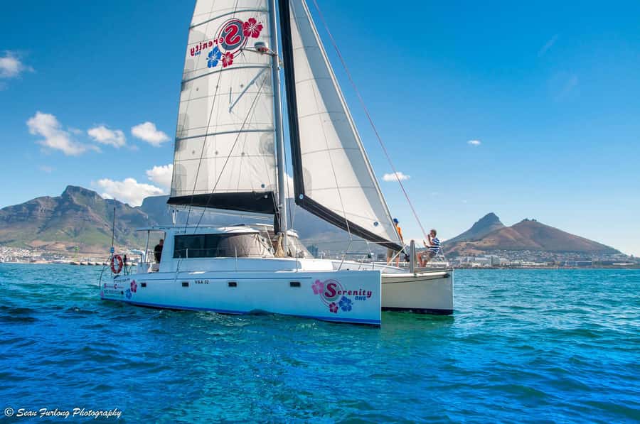 Cape Town: Sunset Champagne Cruise and 3-Course Dinner - Price and Value: Does $78 Really Add Up?