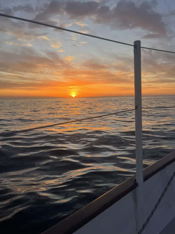 Cape Town: Sunset Cruise from V&A Waterfront with Bubbly - Sunset timing, Table Mountain shadows, and why 90 minutes works