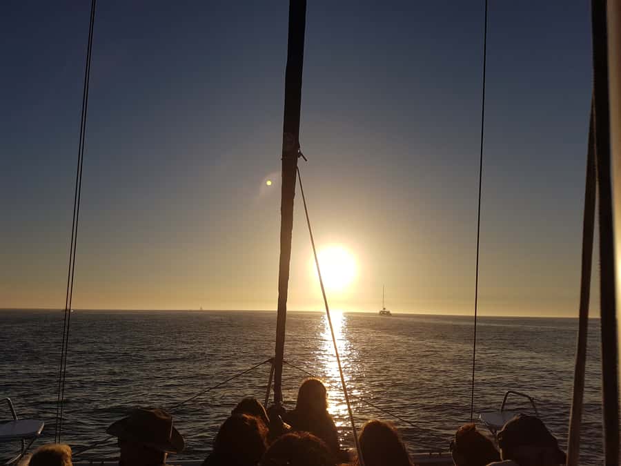 Cape Town: Sunset Cruise from V&A Waterfront with Bubbly - Wildlife spotting: dolphins, seals, and Atlantic coasters