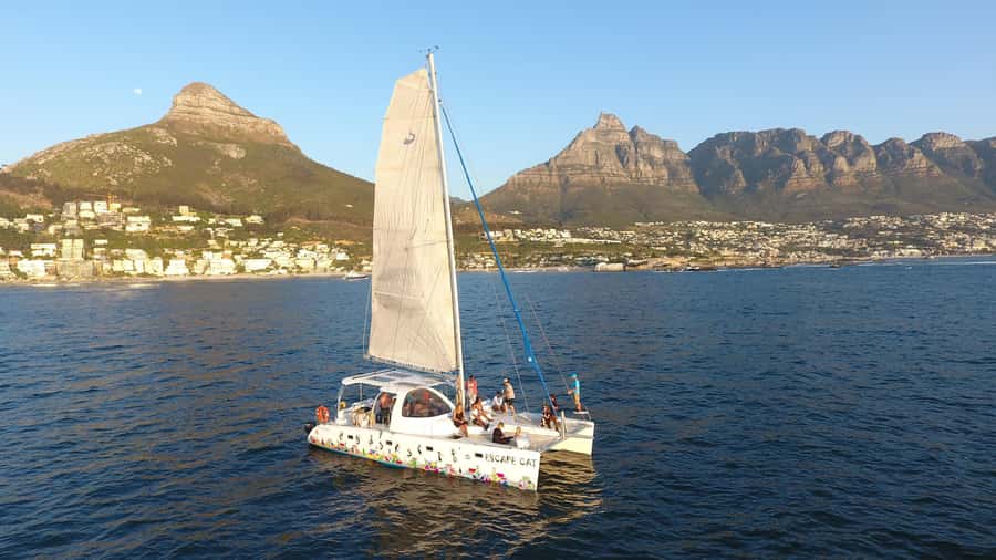 Cape Town: Table Bay Cruise by Catamaran - Key Highlights You Should Care About