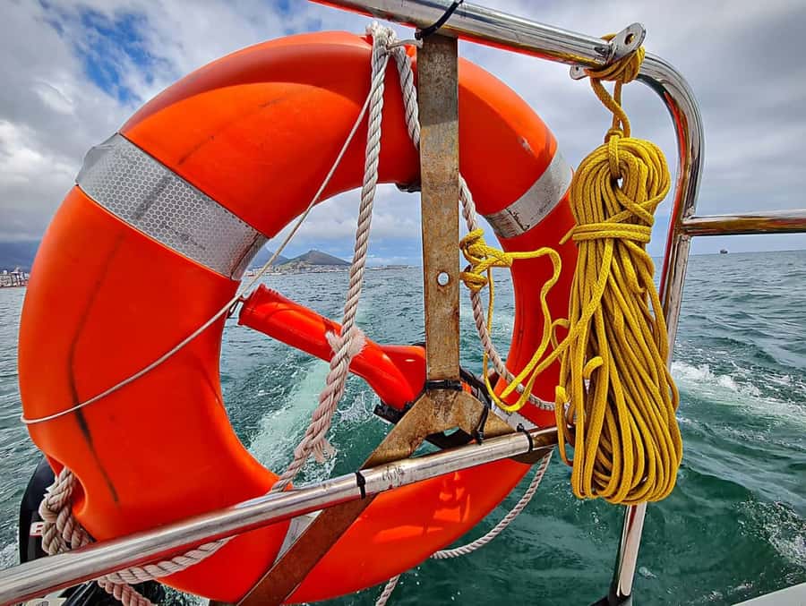 Cape Town: Table Bay Cruise by Catamaran - Getting Onboard: Escape Cat Setup and the Best Seat Choices