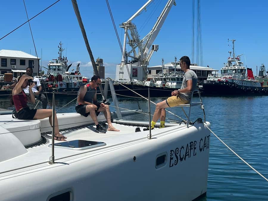 Cape Town: Table Bay Cruise by Catamaran - Should You Book This Table Bay Cruise by Catamaran?