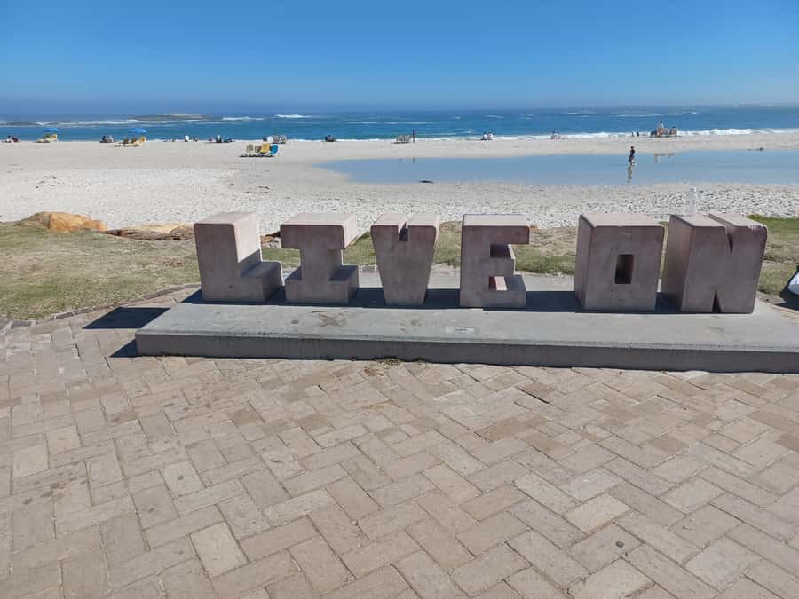 Cape Town: Table Mountain and Penguins Private Guided Tour - Boulders Beach penguin time at street-level