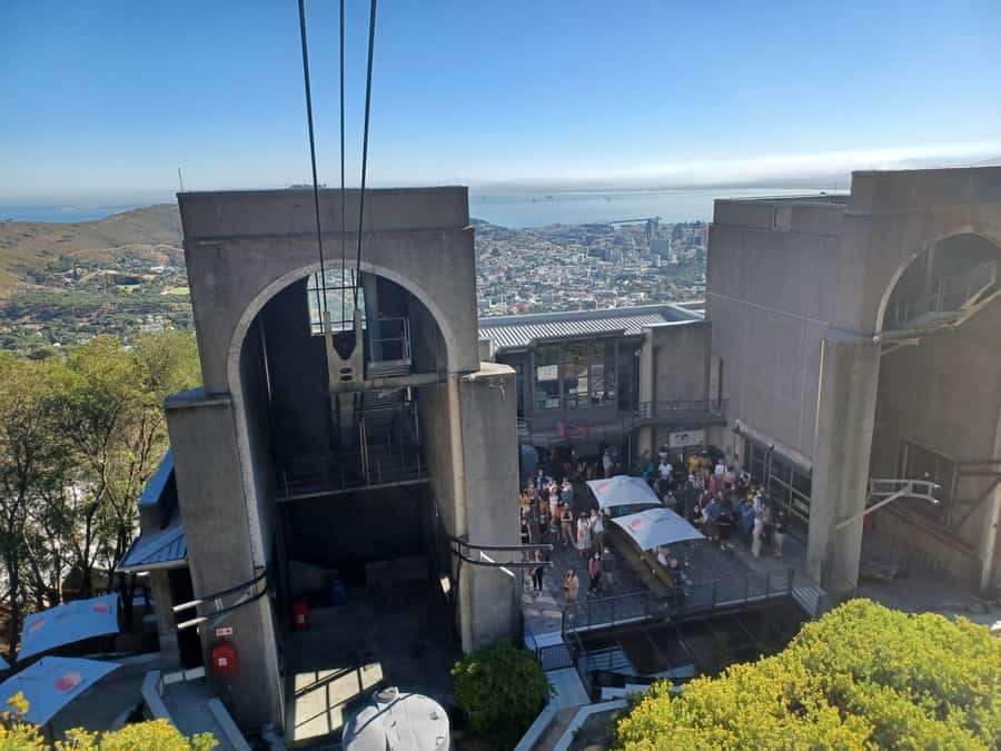 Cape Town: Table Mountain and Penguins Private Guided Tour - Price and logistics: is $230 a fair deal for this full day?
