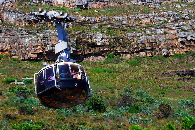 Cape Town Table Mountain and Peninsula Tour - Key points to know before you go