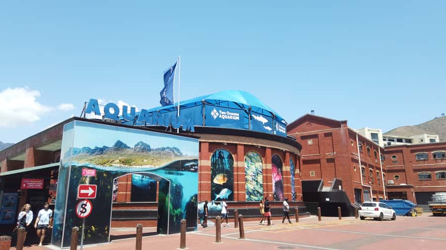 Cape Town: Table Mountain and Robben Island Tour - Who this tour suits best, and who might want a different plan