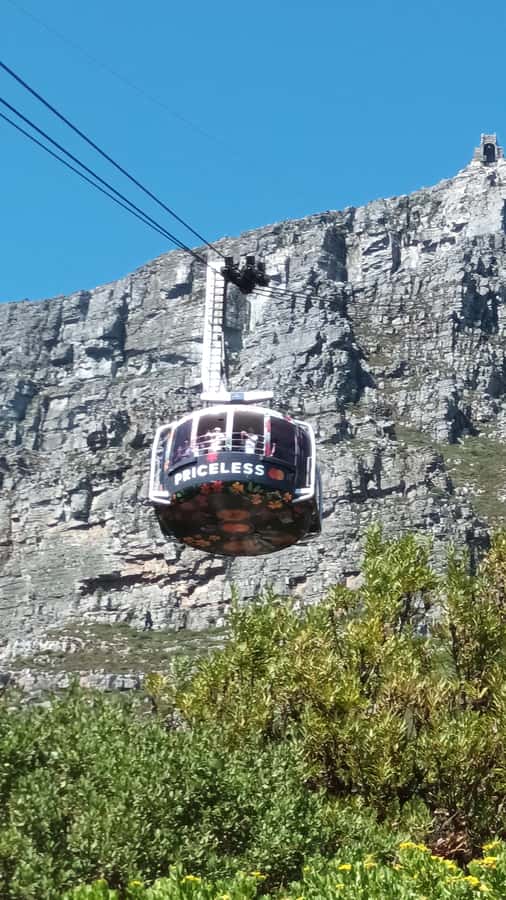 Cape Town: Table Mountain Cable Car Ticket - Summit time: viewing decks, 360 views, and Fynbos walking