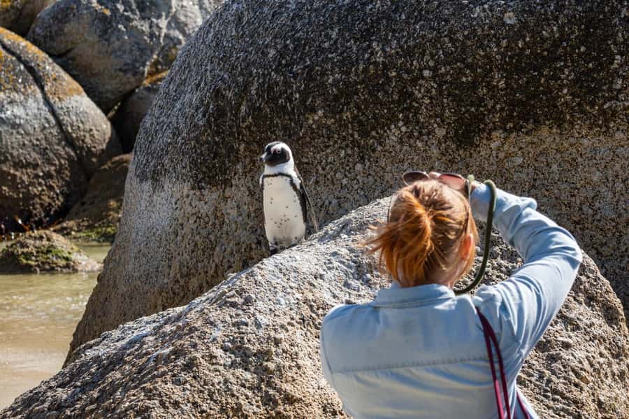 Cape Town: Table Mountain & Cape of Good Hope Full-Day Tour - Key things I’d put at the top