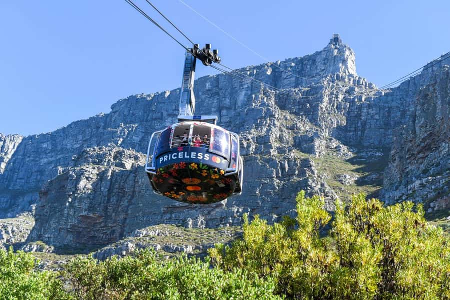 Cape Town: Table Mountain & Cape of Good Hope Full-Day Tour - Why this Cape Peninsula route works so well in 11 hours