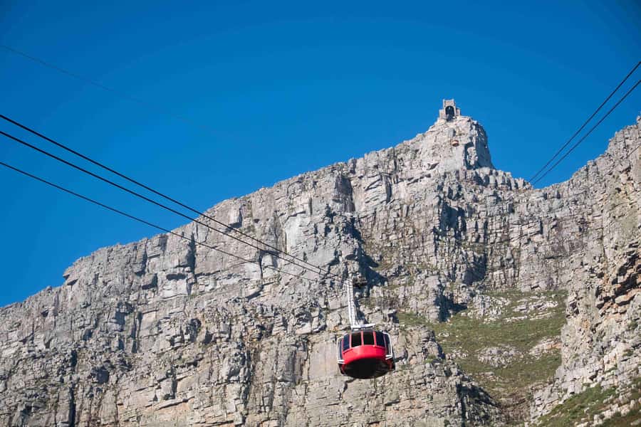 Cape Town: Table Mountain, Cape Point, and Penguins Tour - Table Mountain: The Big View, the Big Variable