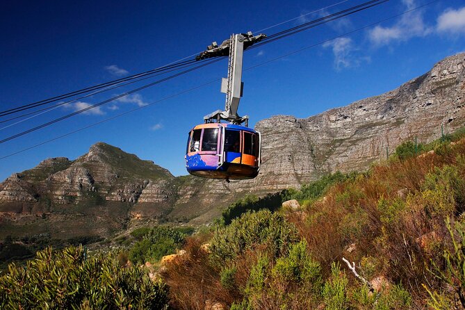 Cape Town Table Mountain Cape Point Penguins Full-Day Private Tour - A big Cape Town day, without the guesswork