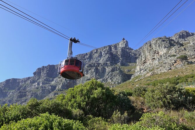 Cape Town Table Mountain Cape Point Penguins Full-Day Private Tour - Bo-Kaap color and the stories behind the houses