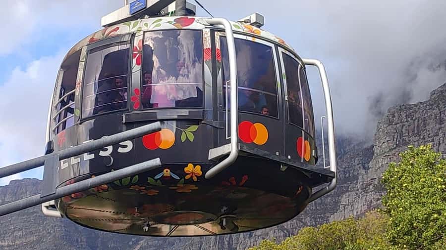 Cape Town: Table Mountain, Cape Point, & Penguins Group Tour - Key Highlights You Will Actually Feel