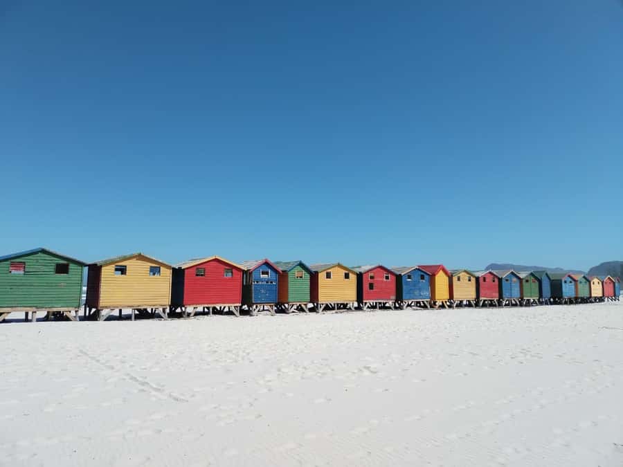 Cape Town: Table Mountain, Cape Point, & Penguins Group Tour - Price and Tickets, The Real Value of $62