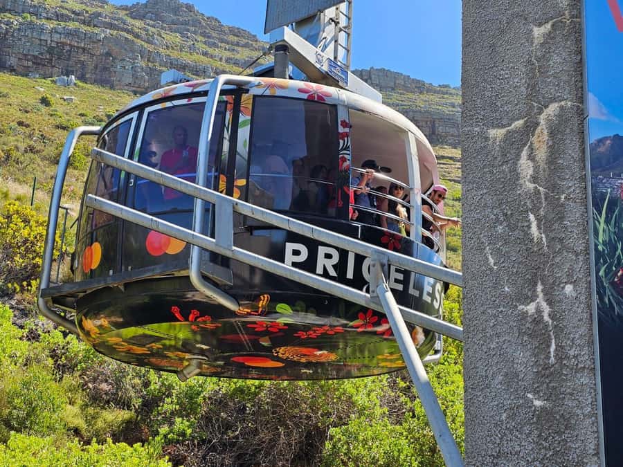 Cape Town: Table Mountain, Cape Point, & Penguins Group Tour - Table Mountain National Park, Cable Car Timing, and Real-World Weather