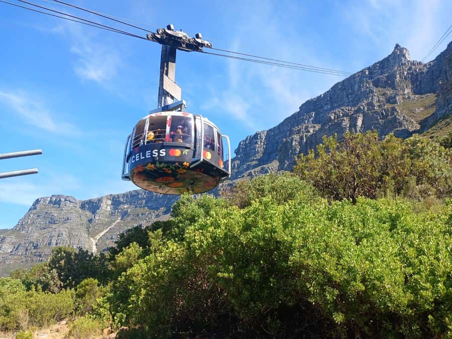 Cape Town: Table Mountain, Cape Point, & Penguins Group Tour - Noordhoek Origins, an Ostrich Farm Stop, and a Wildlife Break