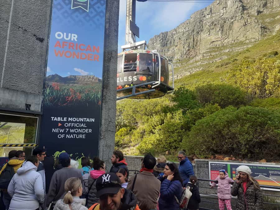 Cape Town: Table Mountain, Cape Point, Penguins Group Tour - Table Mountain Cable Car Views, Plus Fynbos on the Summit