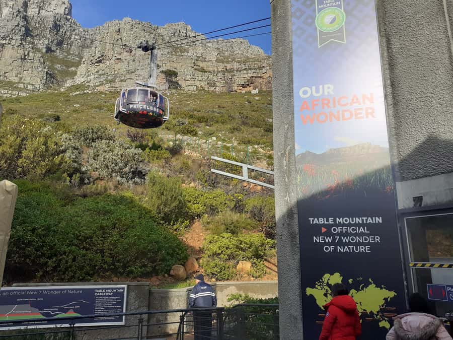 Cape Town: Table Mountain,Cape Point & Penguins Private Tour - Boulders Beach African Penguins: Close Encounters With Flightless Stars