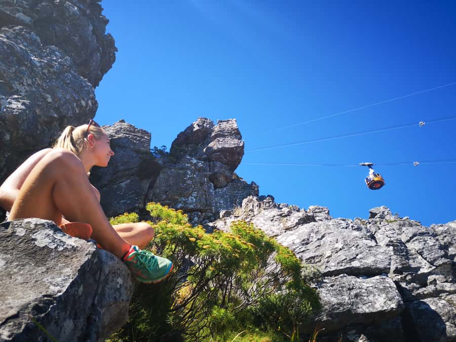 Cape Town: Table Mountain Half–Day India Venster Hike - India Venster on Table Mountain: why this route is worth your time