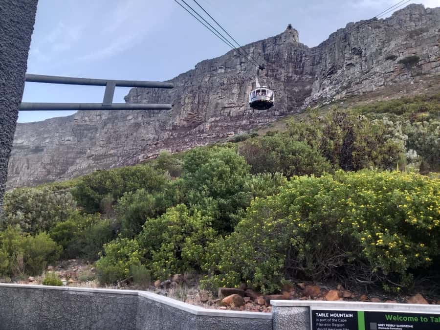 Cape Town: Table Mountain Half-Day Tour with Cable Car Ride - Small Things to Bring That Actually Matter