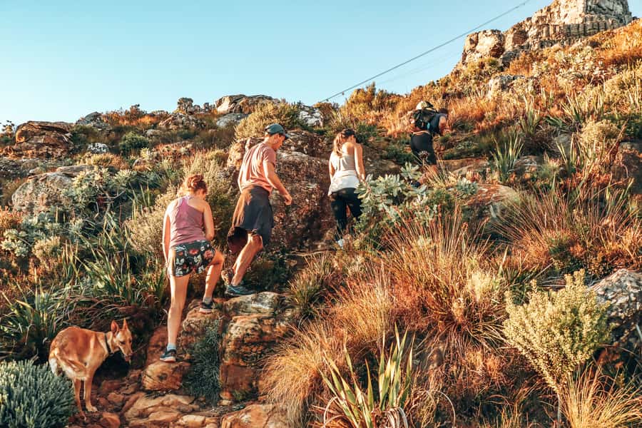 Cape Town: Table Mountain Hike via India Venster - India Venster route: why this hike feels like a climb, not a stroll