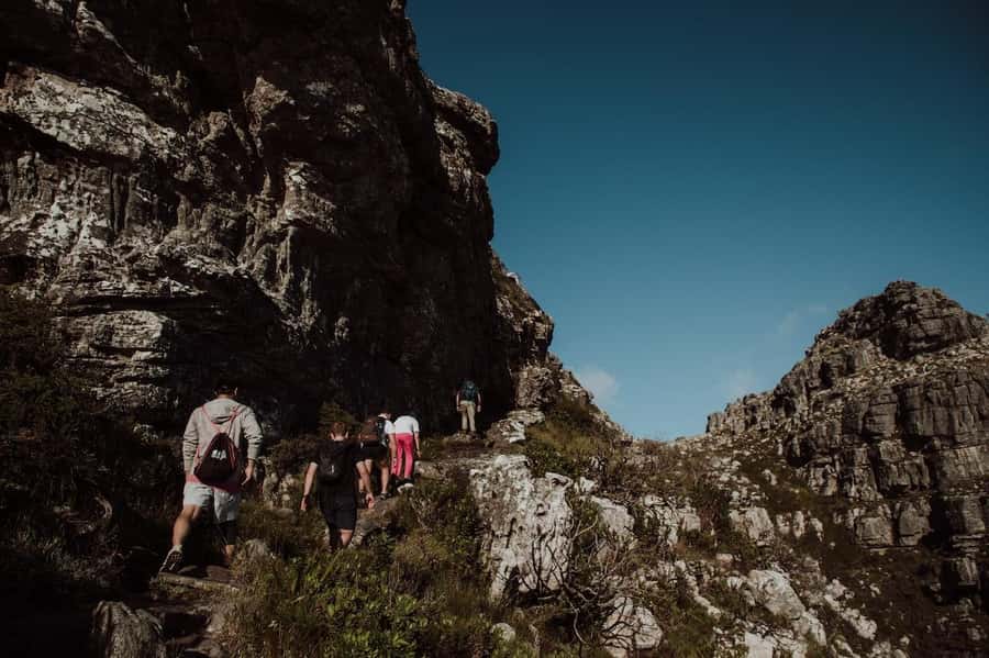 Cape Town: Table Mountain Hike with an Experienced Guide - Should You Book This Table Mountain or Lion’s Head Guided Hike?