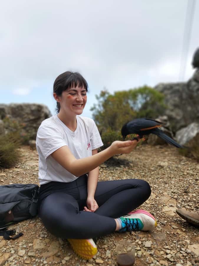 Cape Town: Table Mountain Hike with an Expert Guide - Key highlights worth knowing before you go