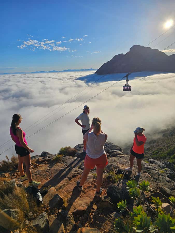 Cape Town: Table Mountain Hike with an Expert Guide - Price and value at $60 per person, what you are really paying for