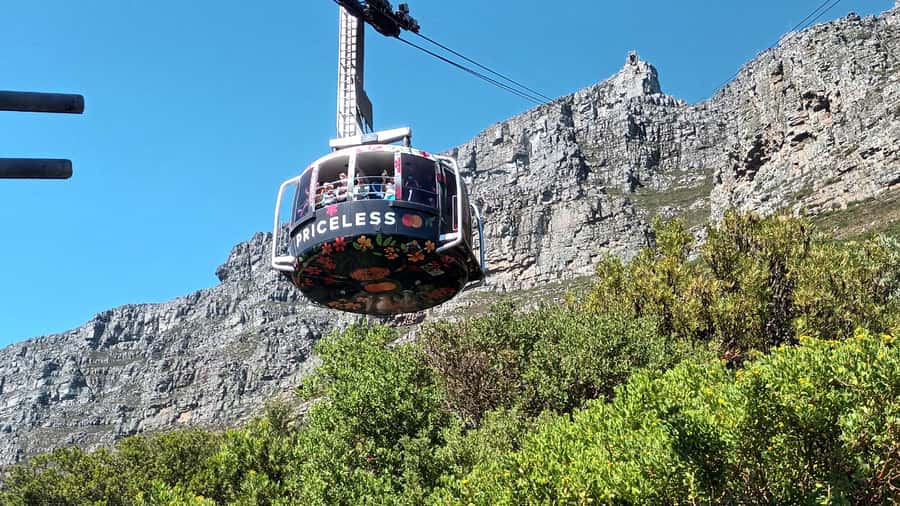 Cape Town:- Table Mountain including Hotel Transfer - Summit time that stays flexible: decks and trails at your pace
