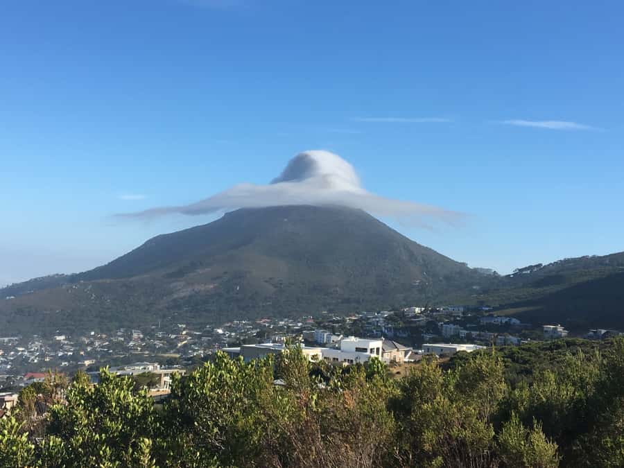 Cape Town: Table Mountain Kasteelspoort Hiking Trail - Fynbos and proteas: the trail feels different when you know what you’re seeing
