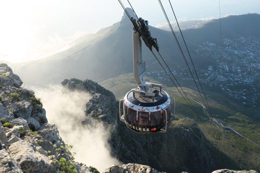 Cape Town: Table Mountain, Kirstenbosch Botanic Garden Tour - Price and Value: What Your $80 Actually Buys (and What to Add)