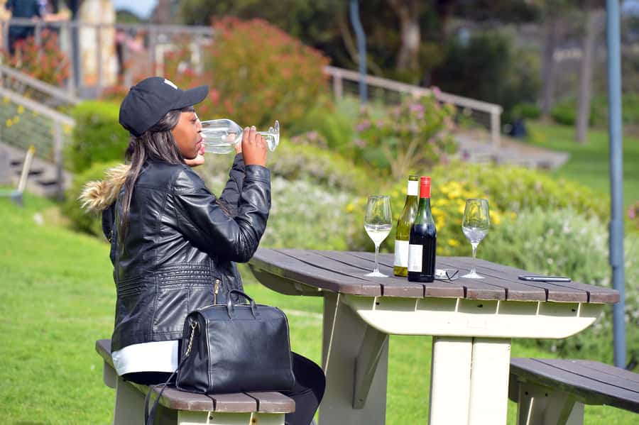 Cape Town Table Mountain Penguins & Cape Point All-inclusive - Price and Value: What You Get for About $230