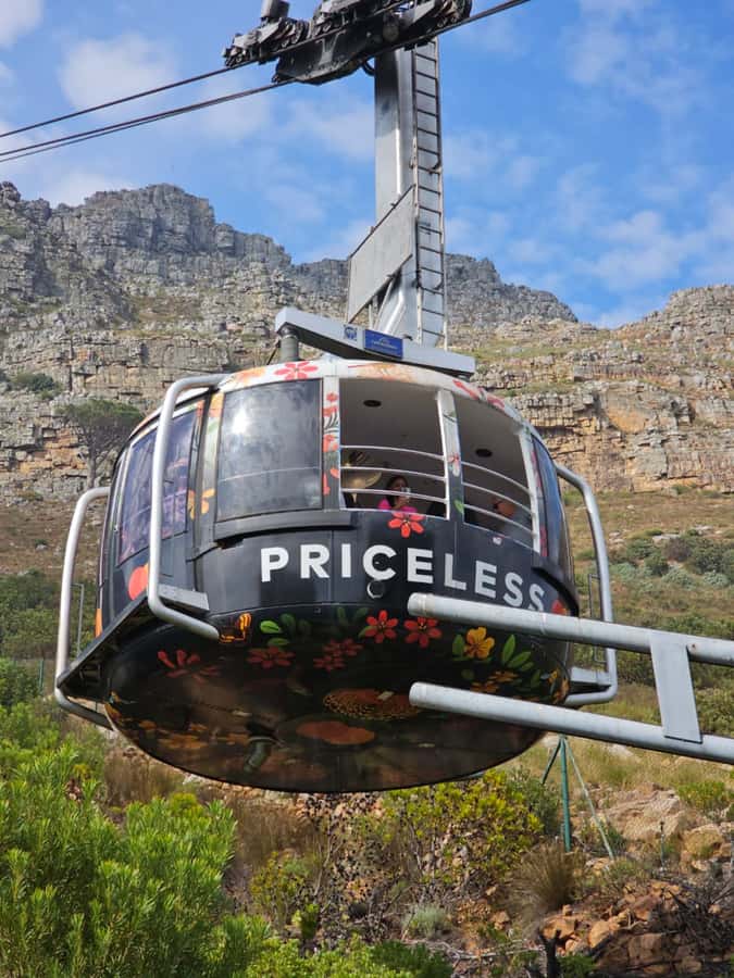 Cape Town Table Mountain Penguins & Cape Point All-inclusive - Table Mountain Cable Car: Skip the Line, Then Grab the City Views