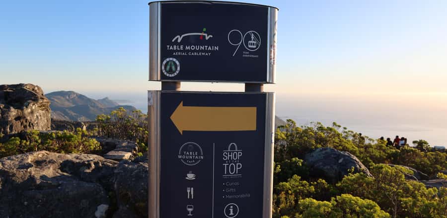 Cape Town: Table Mountain, Penguins & Cape Point Group Tour - Chapman’s Peak Drive, a coastline photo highway