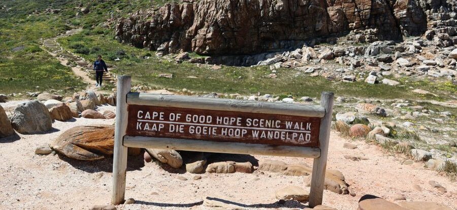 Cape Town: Table Mountain, Penguins & Cape Point Group Tour - Simon’s Town lunch stop, built into the route