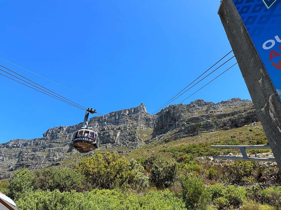 Cape Town: Table Mountain, Penguins & Cape Point Shared Tour - Chapman’s Peak Drive, the reason many people book this