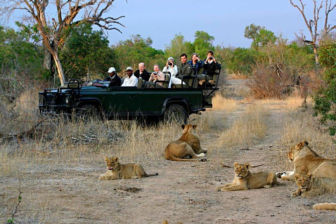 Cape Town - The Best of Aquila Safari Tour - The private air-conditioned ride through wine regions and Klein Karoo