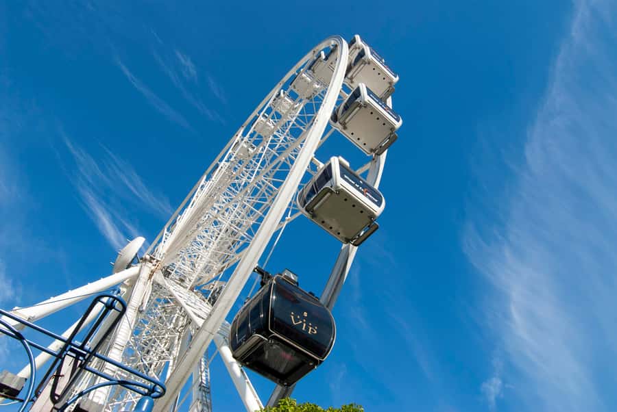 Cape Town: The Cape Wheel Ticket - Key things to know before you ride the Cape Wheel
