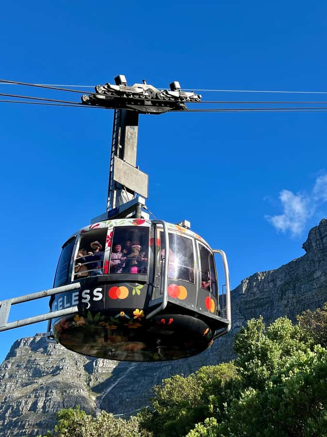 Cape Town Tour: Table Mountain, Penguins & Cape Point+Pickup - Key Takeaways Before You Go