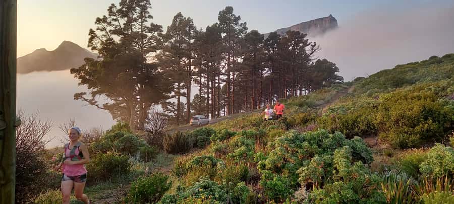 Cape Town: Trail Run Lion's Head and Signal Hill Morning - Why Lion’s Head to Signal Hill is a smart morning choice