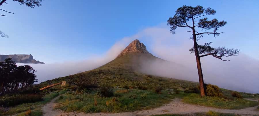 Cape Town: Trail Run Lion's Head and Signal Hill Morning - Lion’s Head start: the gradual climb that sets the pace