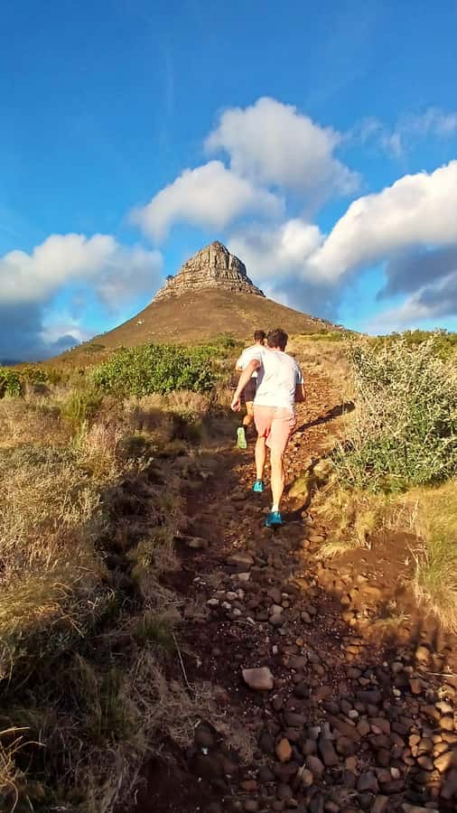 Cape Town: Trail Run Lion's Head and Signal Hill Morning - Cape Floral Region plants: what “see, smell, and learn” really means