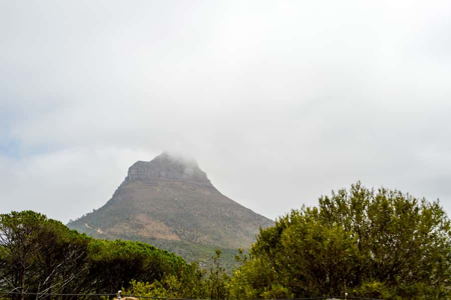 Cape Town Uncovered : Half-Day City Tour and Table Mountain - Key highlights worth centering in your day
