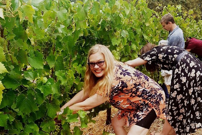 Cape town - Unique Private wine tour Blend & bottle own wine - Key Things to Know Before You Go