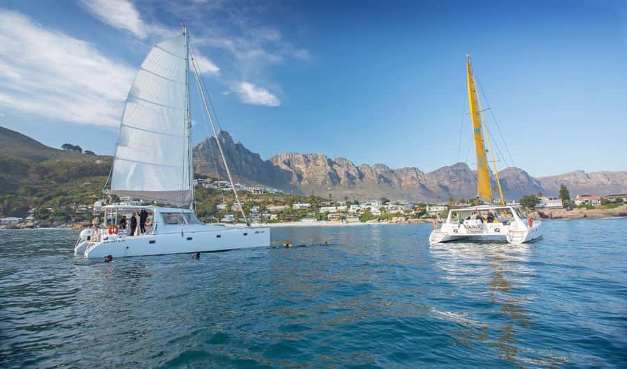 Cape Town: V&A Waterfront 1-Hour Scenic Cruise - Where You’ll Enjoy the Ride: Foredeck Trampolines and Roofed Seating